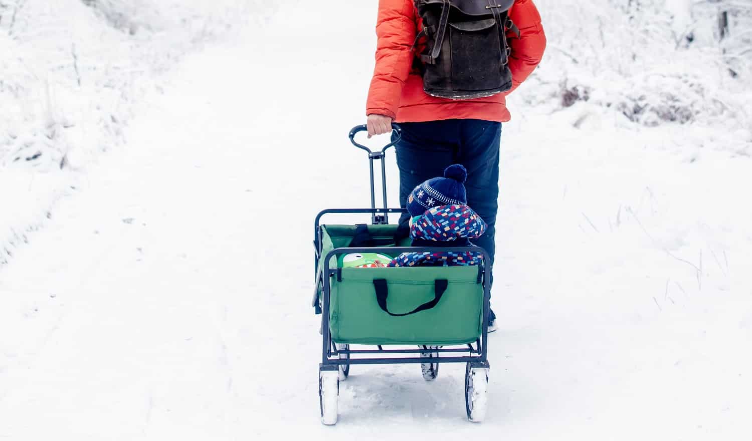 Father and son with wagon in snow forest