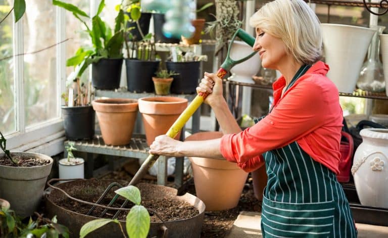 Female gardener digging soil with gardening fork at greenhouse