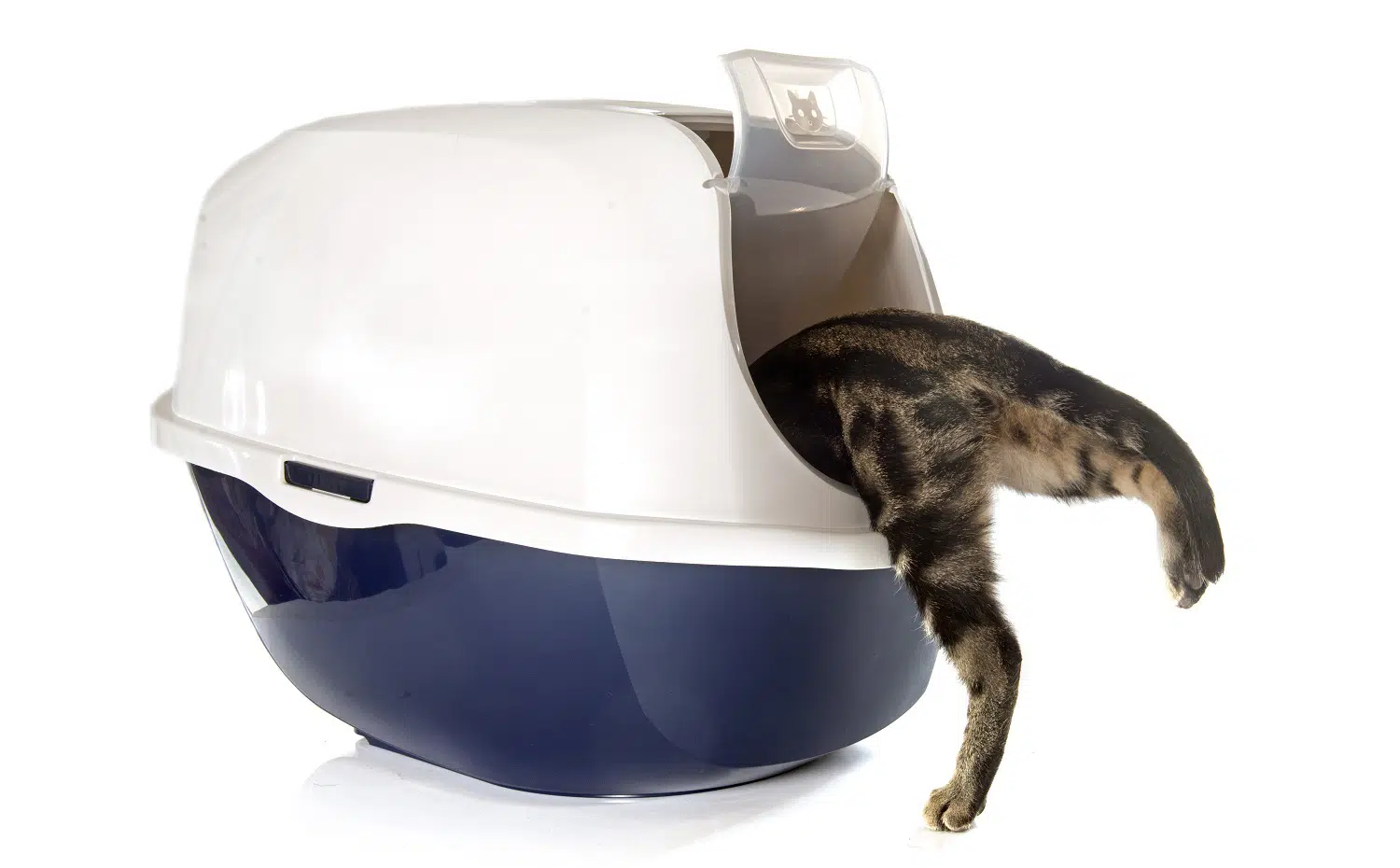 Closed cat litter box in front of white background