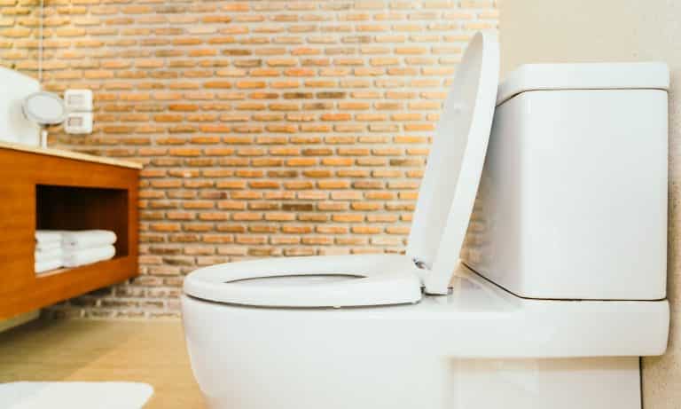 White toilet bowl and seat decoration interior of bathroom