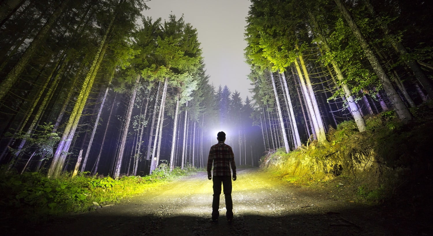 Back view of man with head flashlight standing on forest ground road among tall brightly illuminated spruce trees under beautiful dark blue sky. Night wood landscape and adventure. Best T2000 Headlamps.