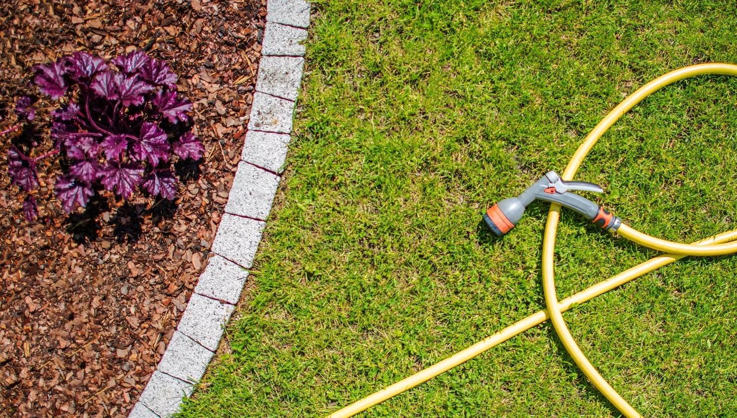 Garden Water Hose with Watering Head. Watering Garden Plants Concept Photo.