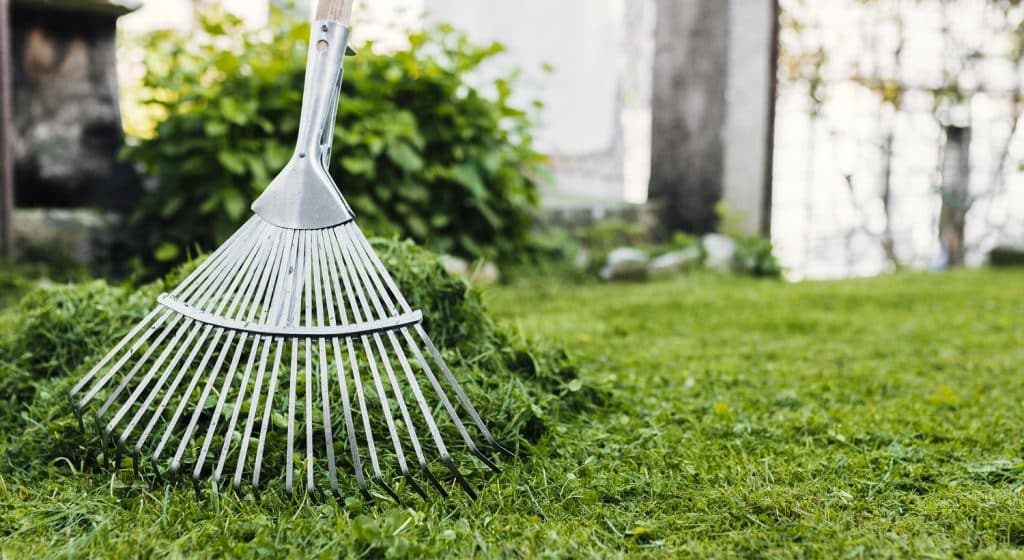 11 Best Pine Straw Rakes Of 2023