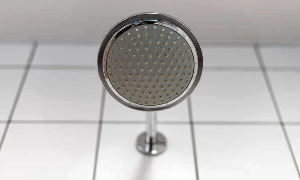 13 Best Kohler Shower Heads