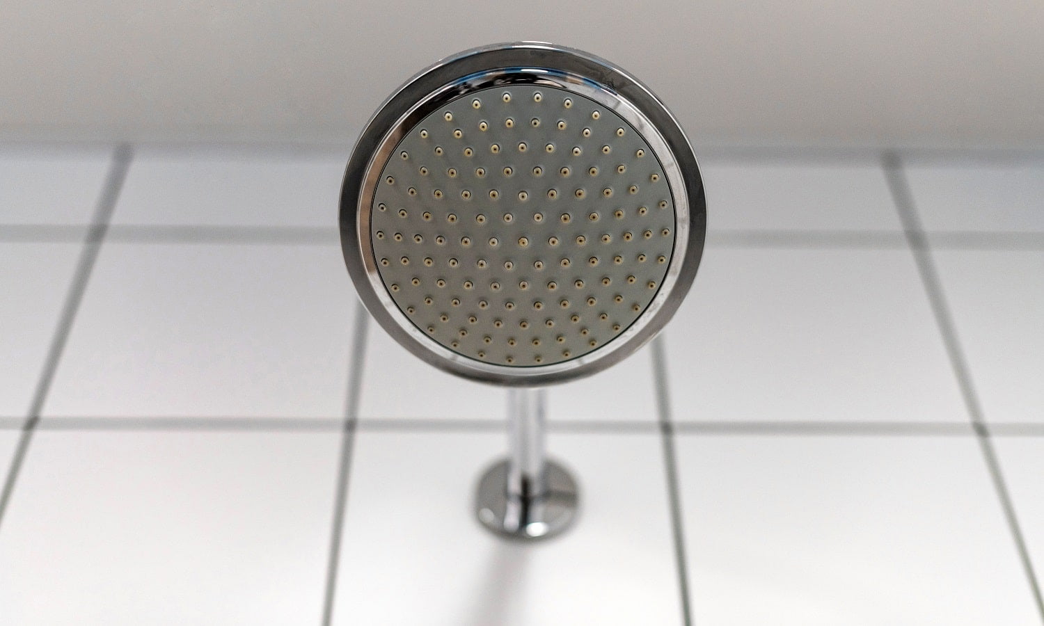 Shower head. Water supply is turned off