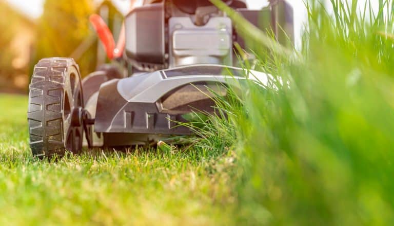 motor mower to mow the lawn next to the family house. green grass