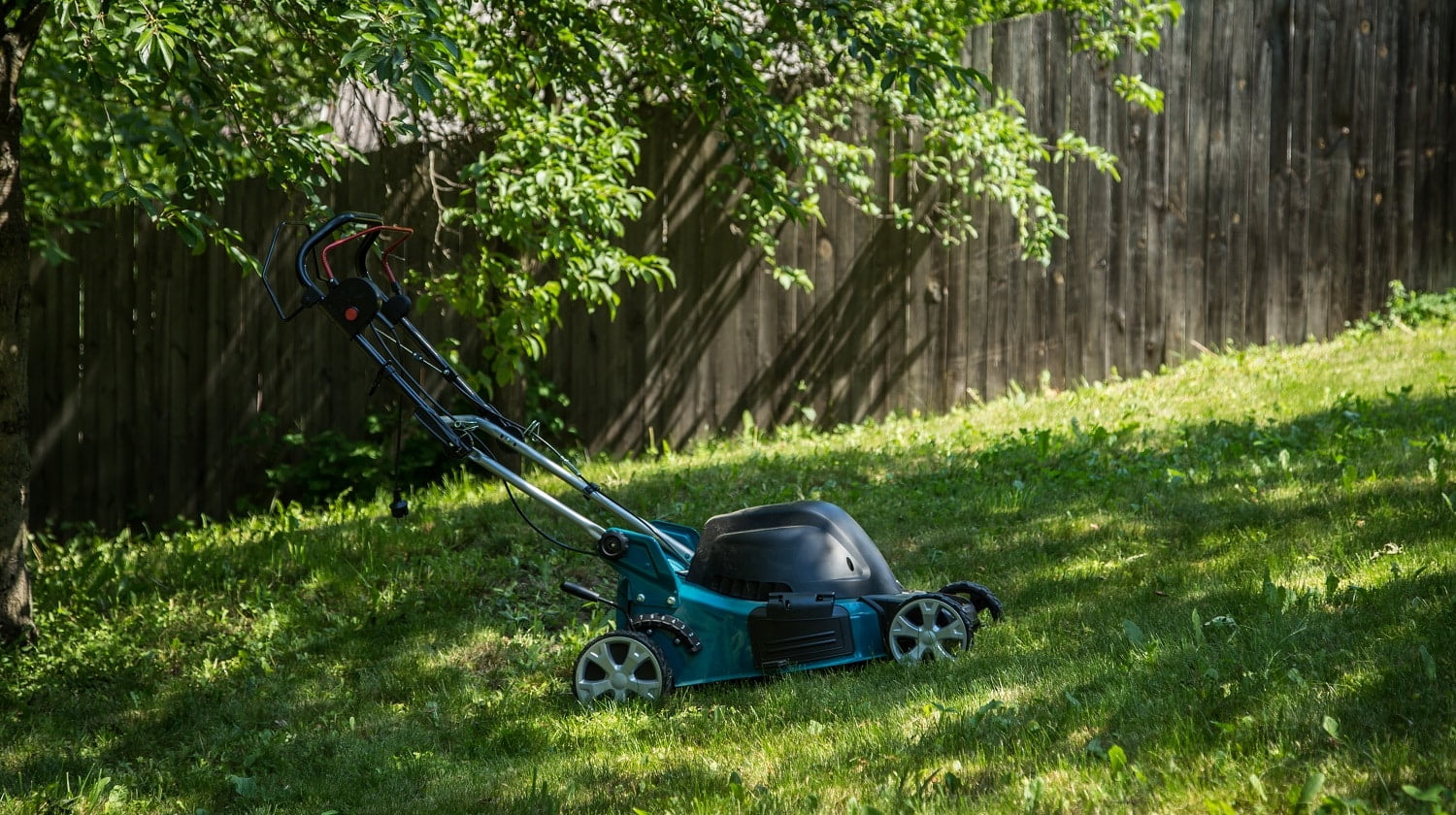 lawnmower on green grass in the backyard