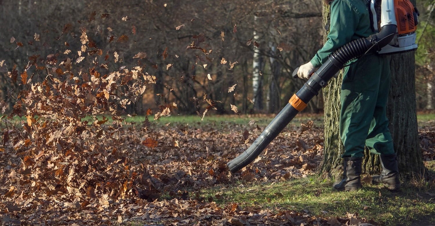 Male worker removes leaf blower lawn of autumn garden.
