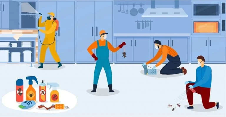 Disinfection in kitchen, workers of pest control service in uniform sanitary processing of kitchen with insecticide chemical sprays vector illustration. Insects and rodents pest control exterminators.
