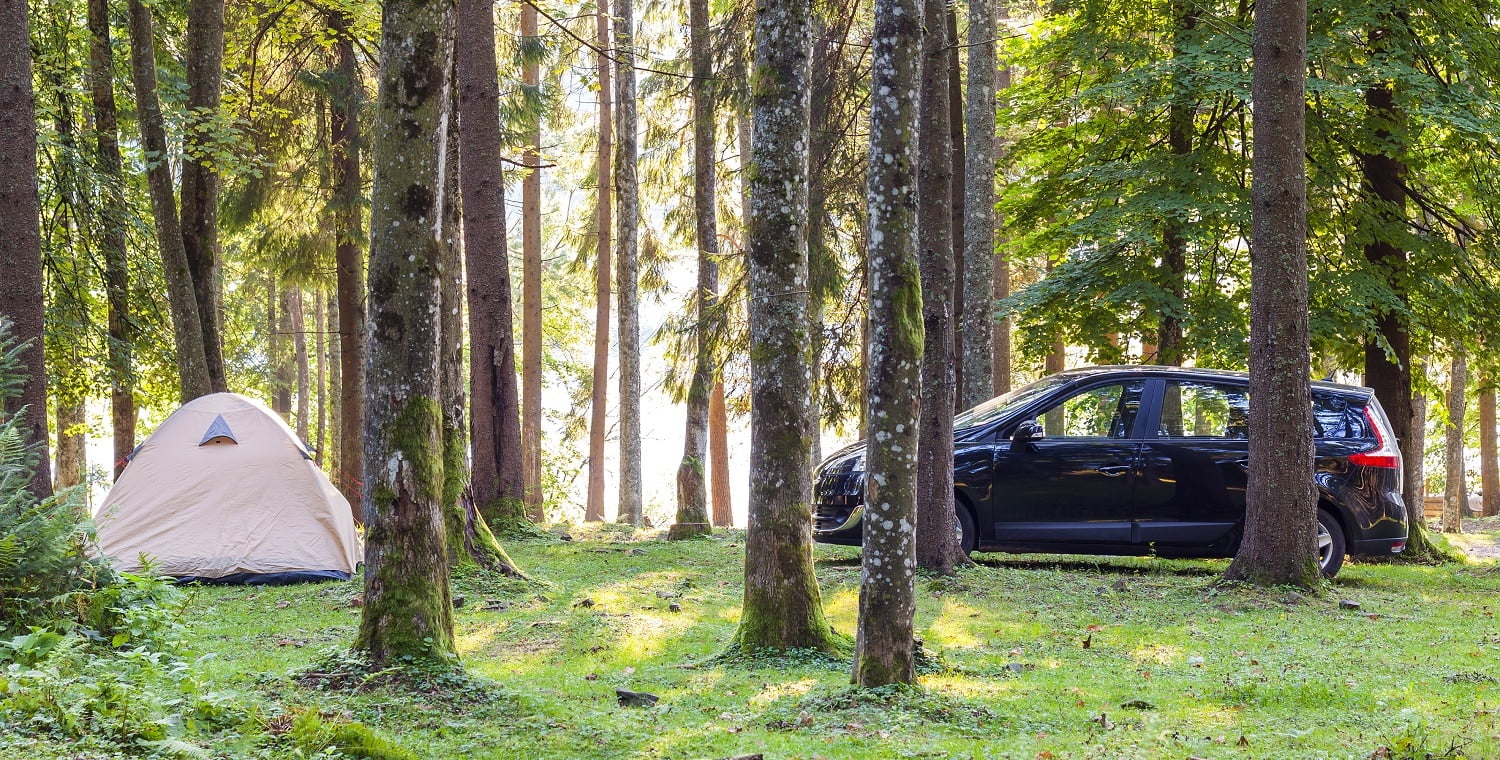 Camping tent and a car in green forest in spring sunny morning with fog haze among trees. Recreation concept.