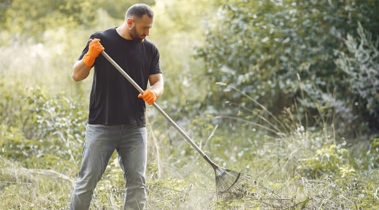 Volunteer collects leaves. Man in a park. Male cleans the park