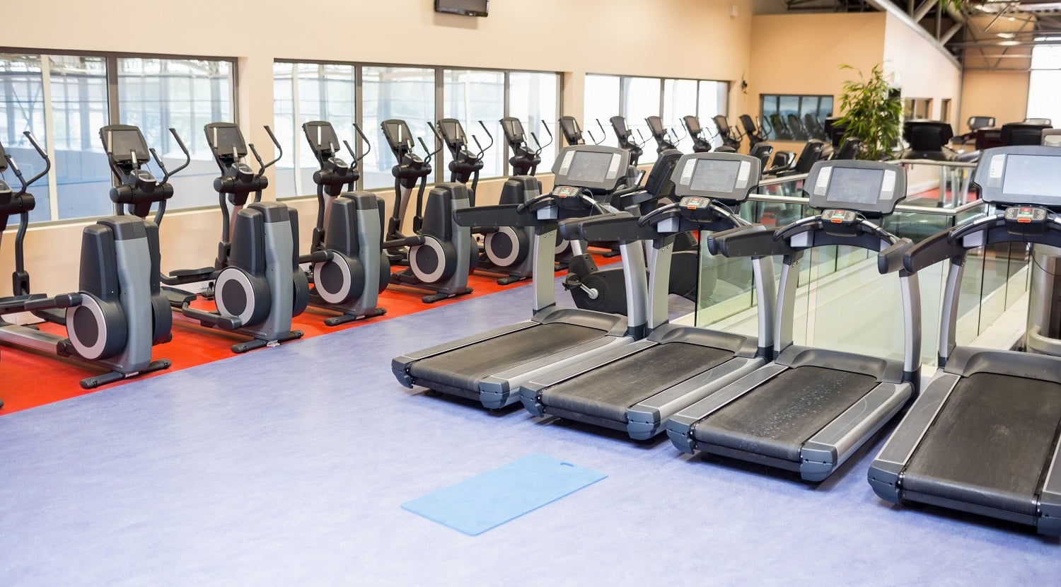 4 Best Bowflex TreadClimbers & 3 Best Alternatives Collection of treadmills and exercise bikes at the gym