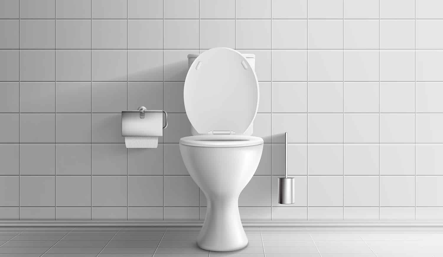 6 Best Macerating Upflush Toilets Reviews + Guide