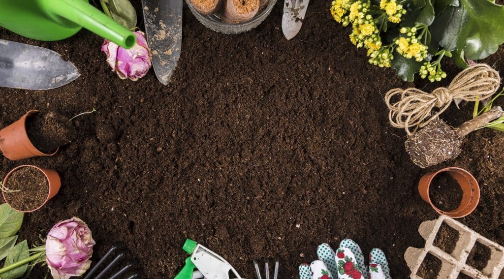 8 Best Fertilizers For Hydrangeas