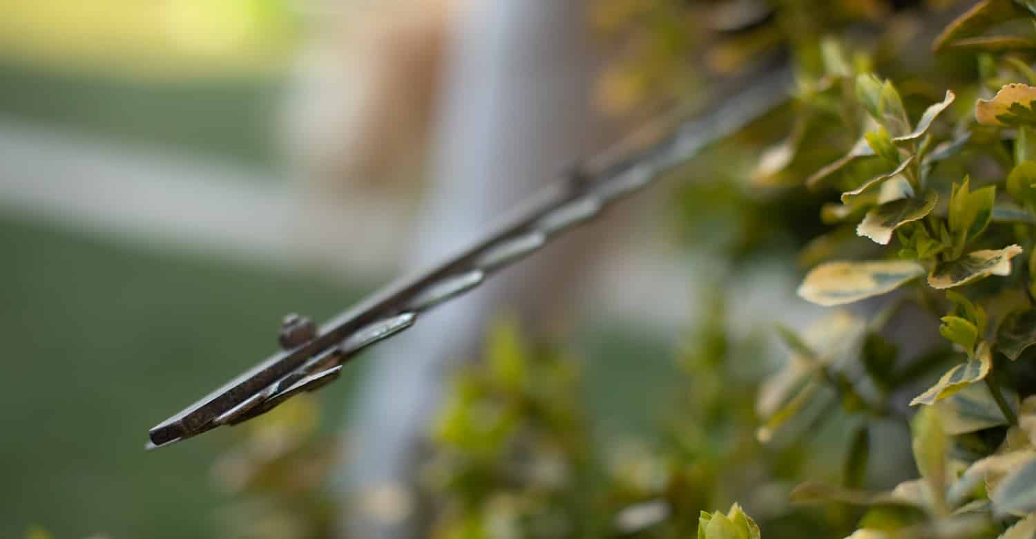 Cutting a hedge with electrical hedge trimmer. Selective focus. Gardener is trimming the hedge or tuja.