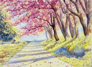 Painting watercolor landscape pink red color of Wild himalayan cherry roadside in the morning with vintage emotion sky cloud background, Hand painted, beauty nature winter season landmark in Thailand. 66 Easy Things to Draw