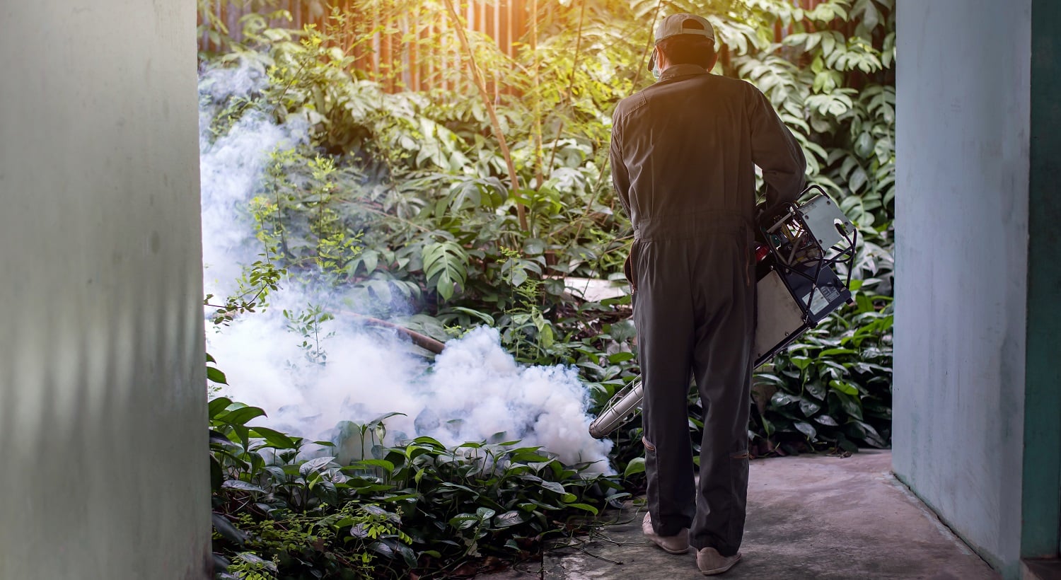 Man work fogging to eliminate mosquito for preventing spread dengue fever and zika virus