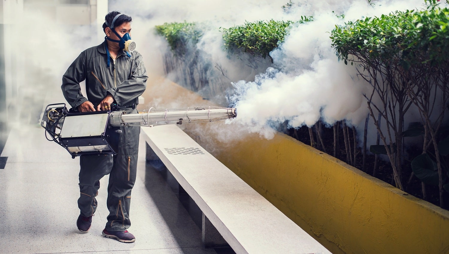 The man's fogging to eliminate mosquito for preventing spread dengue fever and zika virus