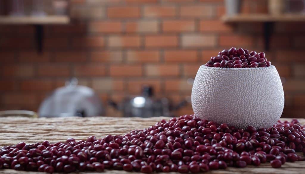 The Best Bean Bag Filler Alternative To Consider Today