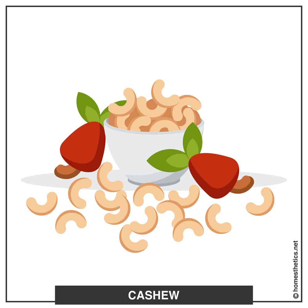 1 cashew A copy