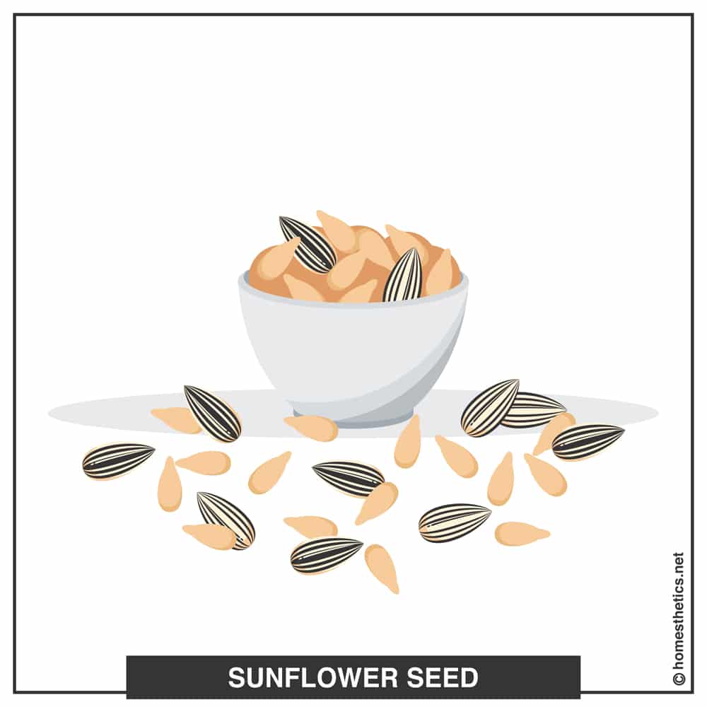 11 Sunflower Seed A copy