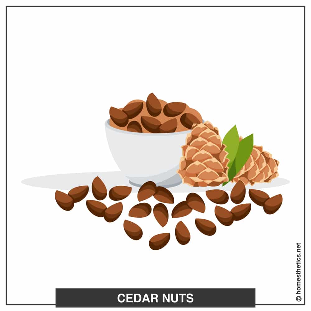 16 Cedar Nuts A copy