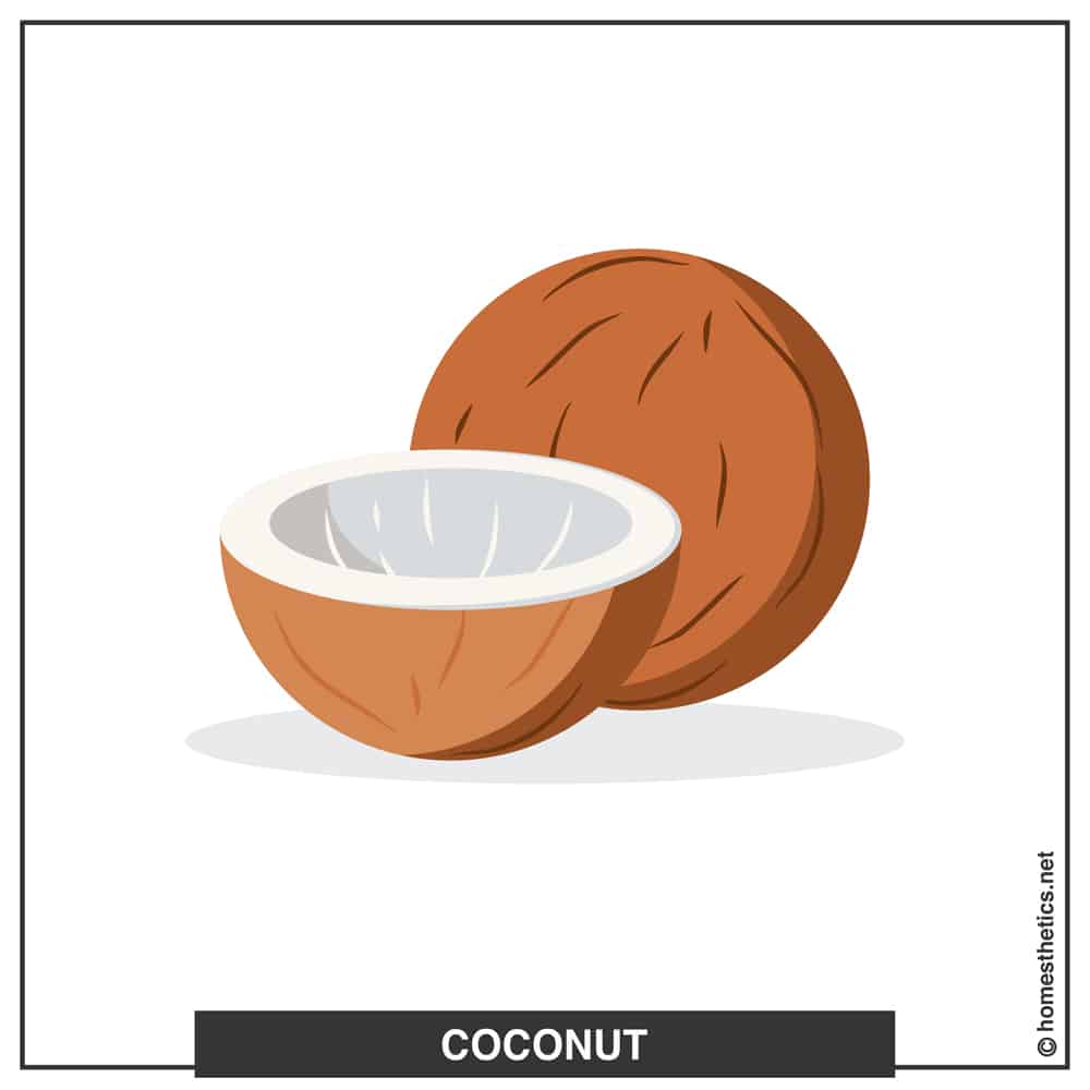 19 Coconut A copy
