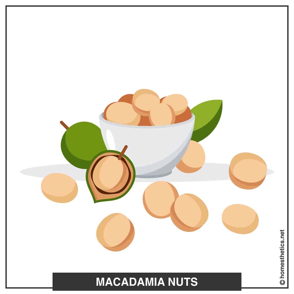 3 macadamia A copy