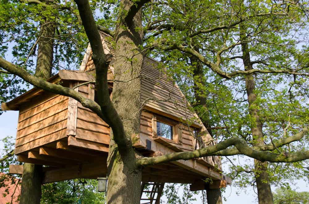 Treehouse