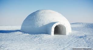 Igloo