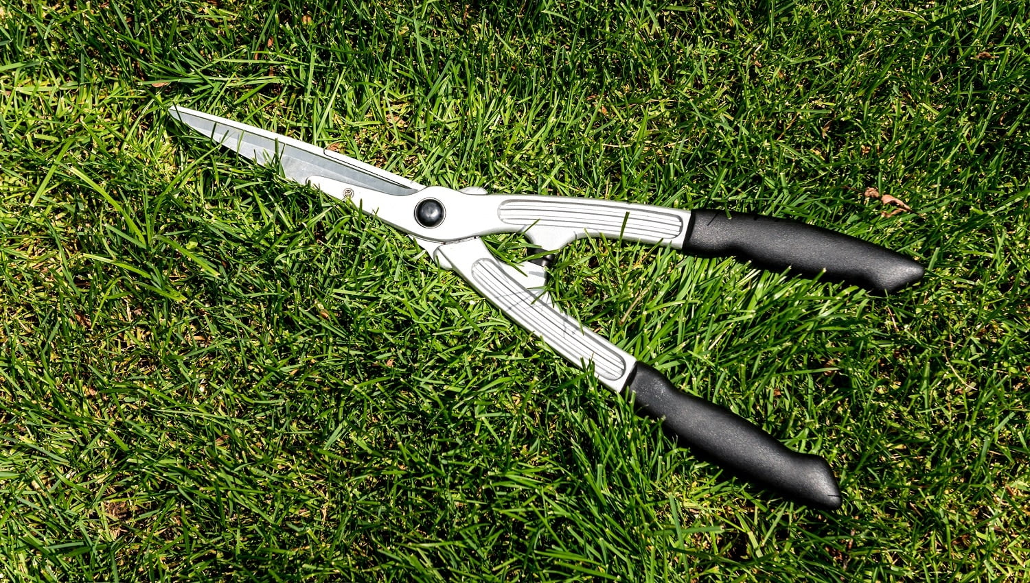 Big Scissors On Green Grass Landscape Design   7 Best Cordless Grass Shears 003 