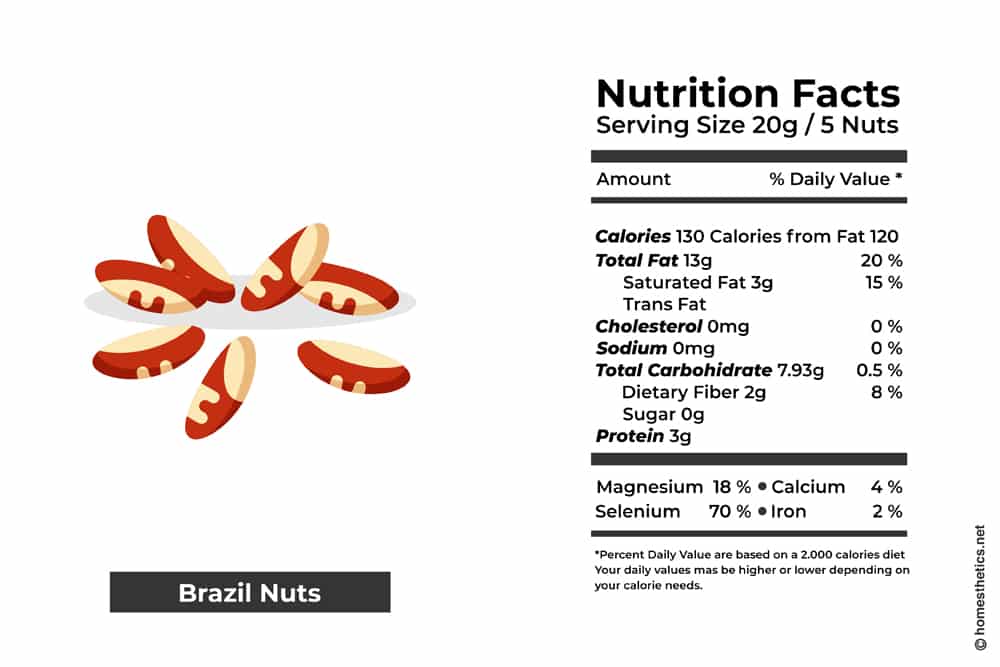 8 Brazil nuts C copy