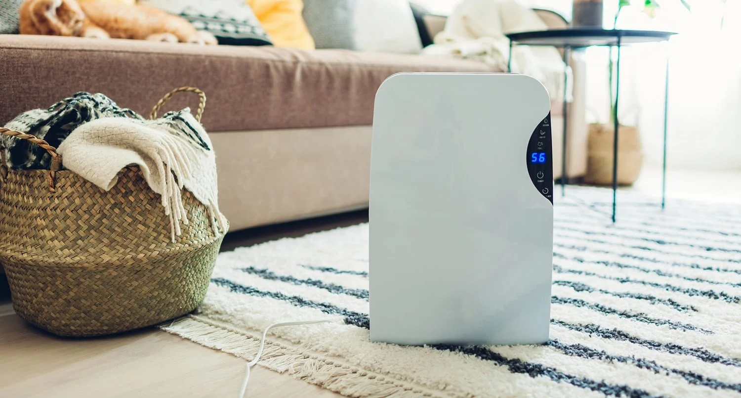 Dehumidifier with touch panel, humidity indicator, uv lamp, air ionizer, water container works at home. Modern design feets interior. Air dryer
