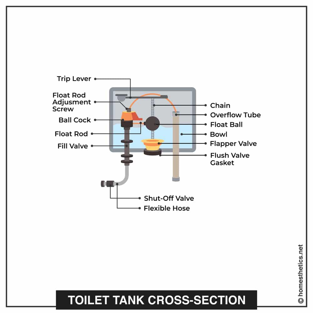 All The Parts of a Toilet Explained cross section tank copy