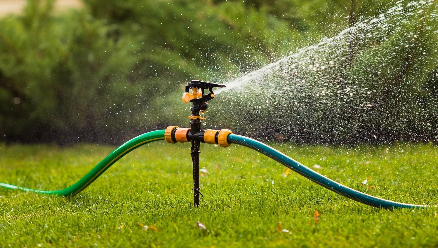 Watering lawn grass in the garden