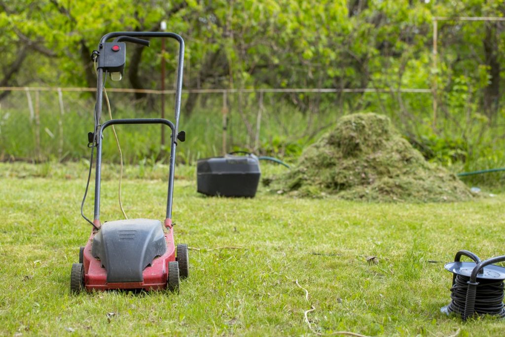 Best Lawn Mower For St Augustine Grass Reviews + Guide