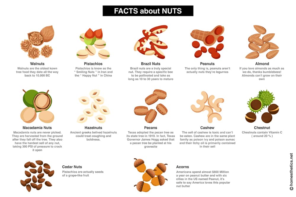 Z Fact About Nuts copy 1