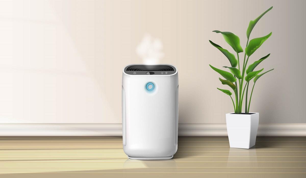 Best Charcoal Air Purifiers