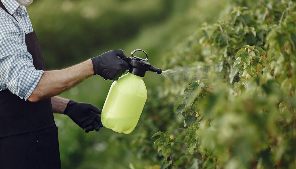 11 Best Fertilizer For Citrus Trees Right Now [Buyer's Guide]