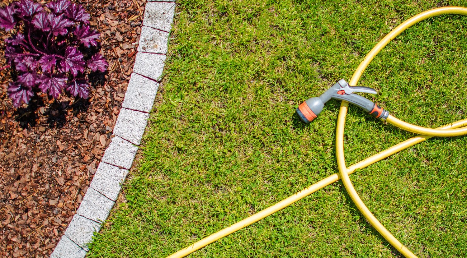 Garden Water Hose with Watering Head. Watering Garden Plants Concept Photo.