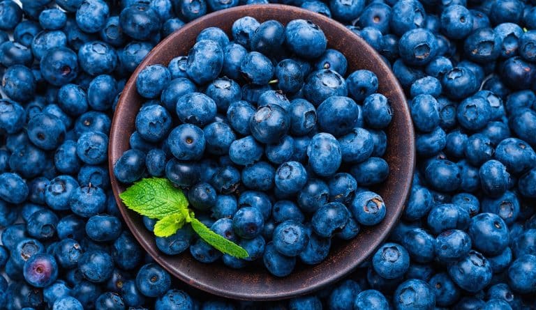 Fresh blueberry background. Texture blueberry berries close up.