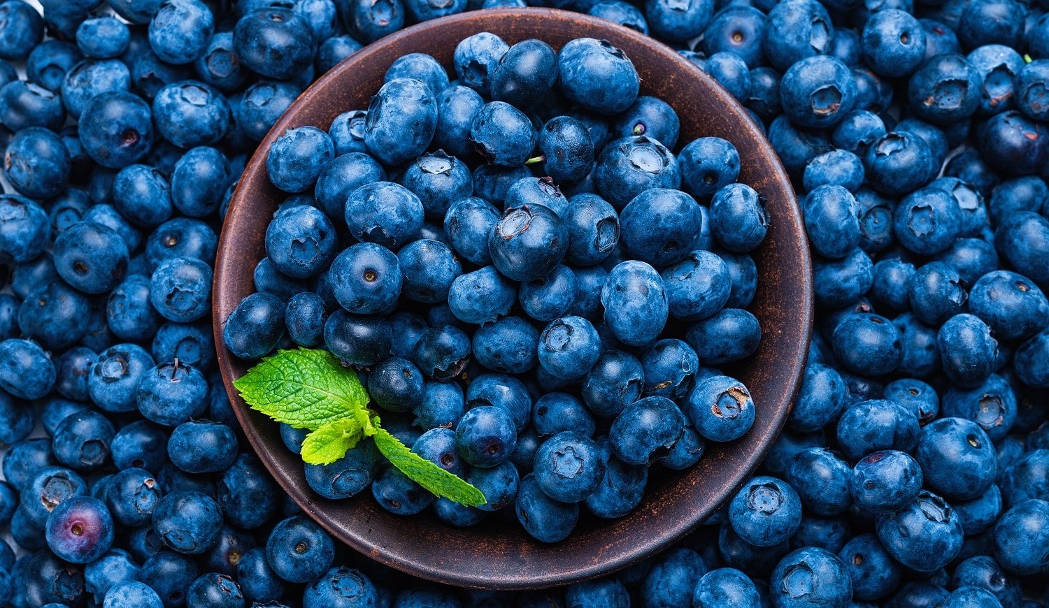 Fresh blueberry background. Texture blueberry berries close up.