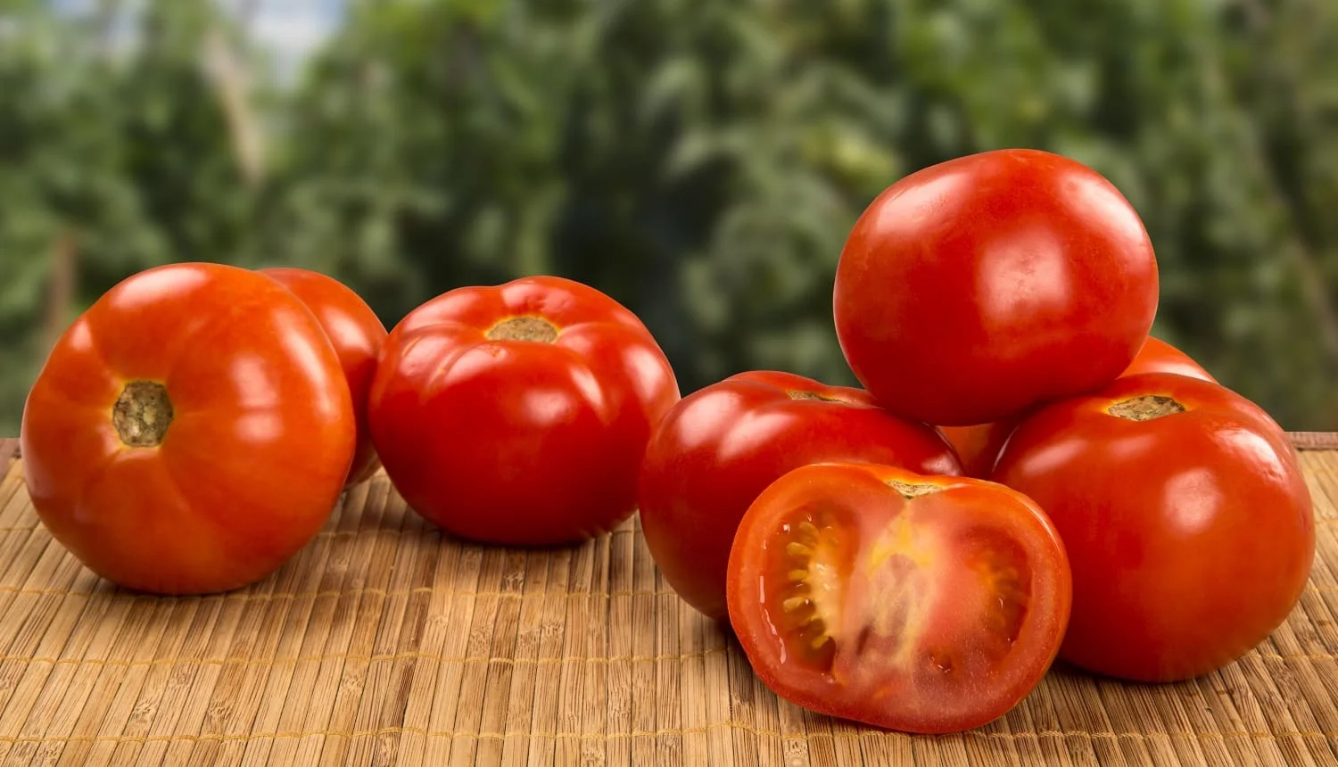 Some tomatoes over a wooden background. Fresh vegetable.