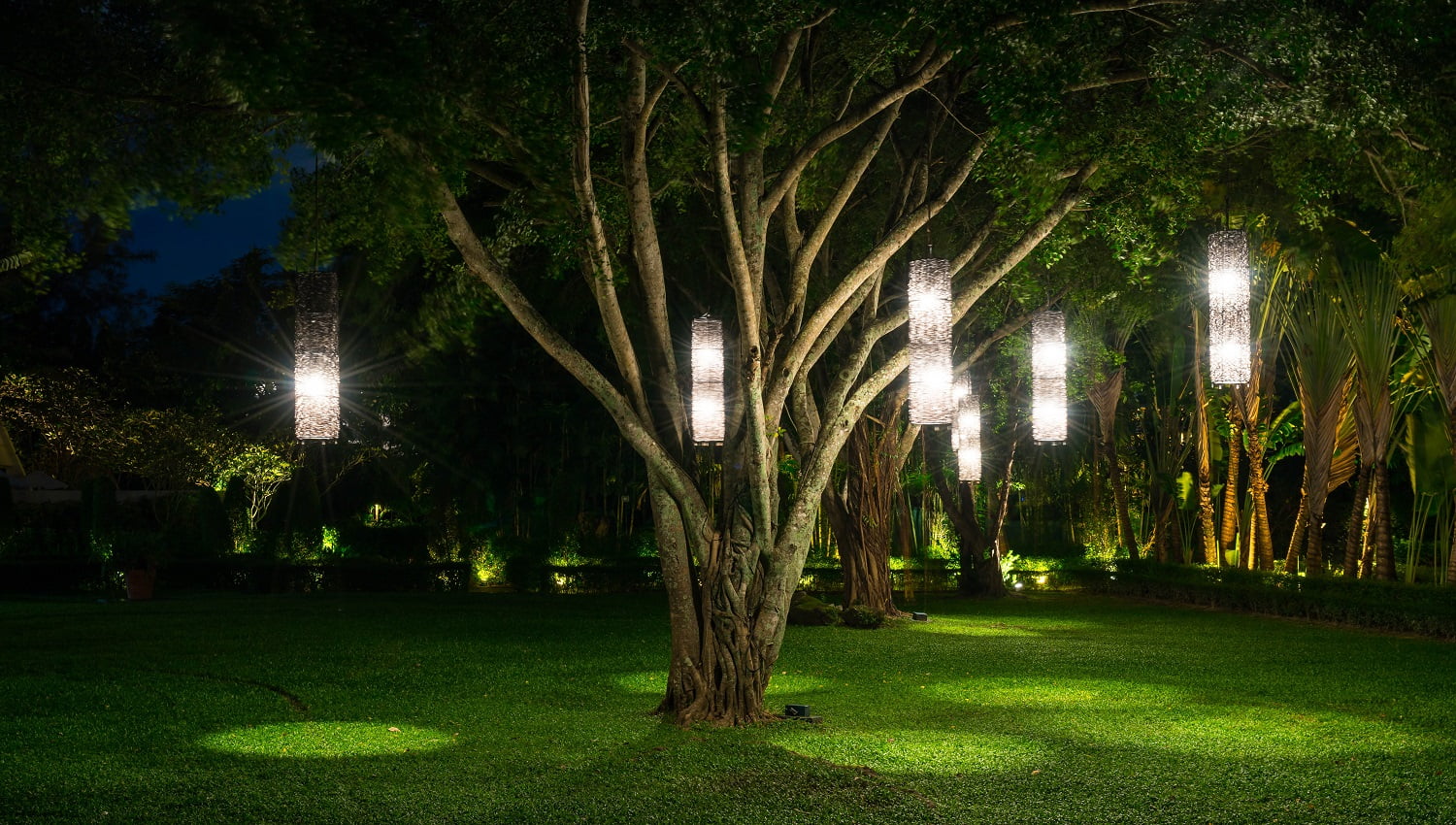 tree with lamp lighting in garden