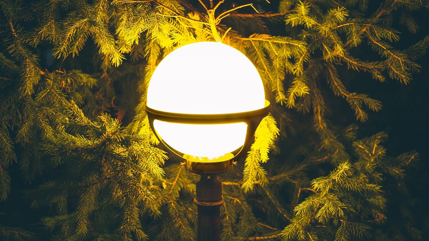 Street vintage lamp with christmas tree in the evening outside