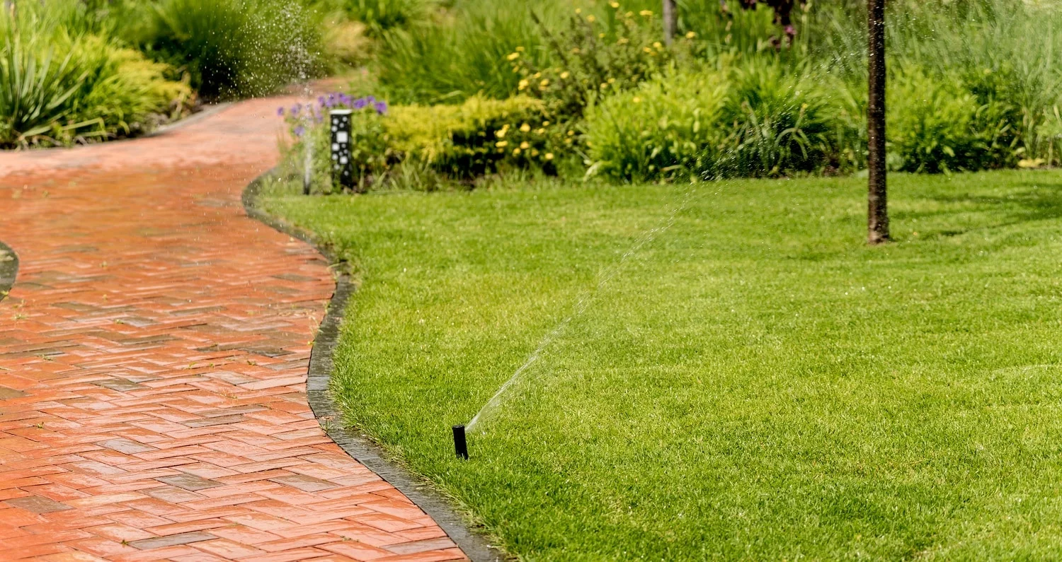 Irrigation system watering garden lawn. Landscape design. Gardening
