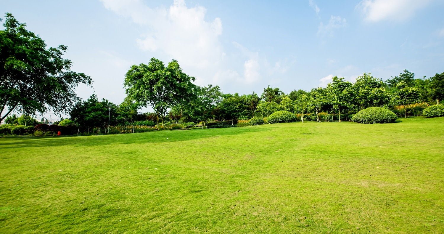 Grassland landscape and greening environment park background