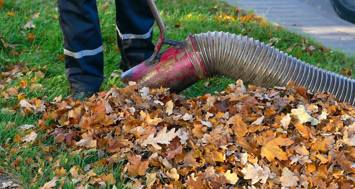 Worker clearing up the leaves using a leaf blower tool