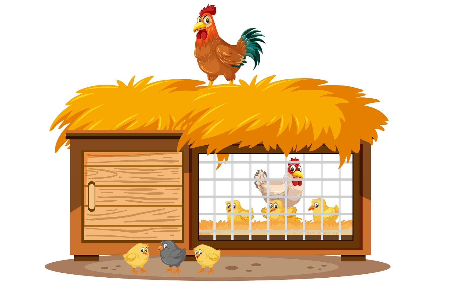 Chicken Coop Run Plans