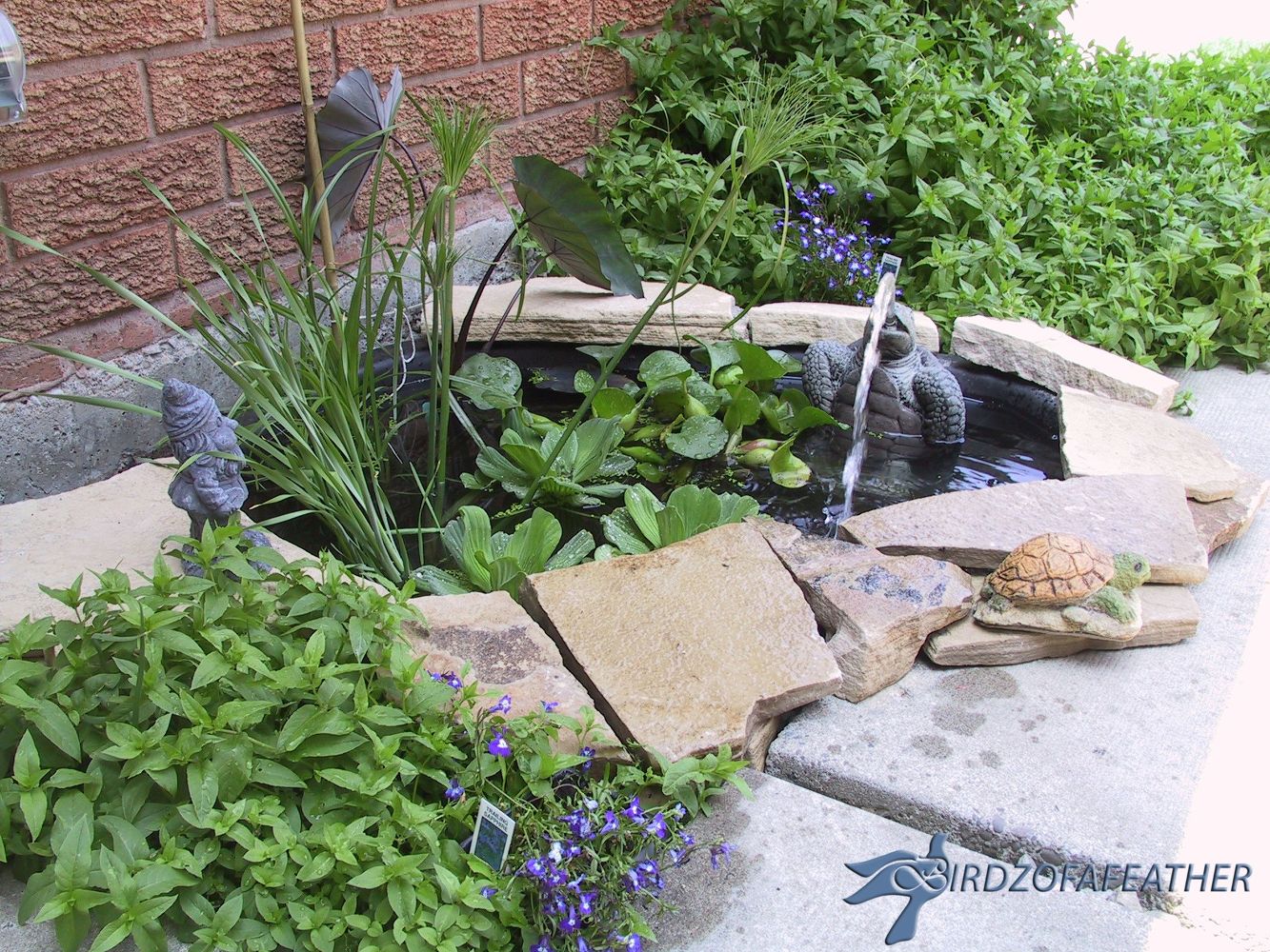 Spring-Inspired Pond